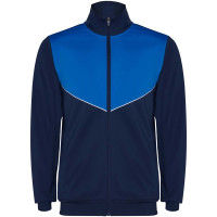 Marineblauw, Koningsblauw